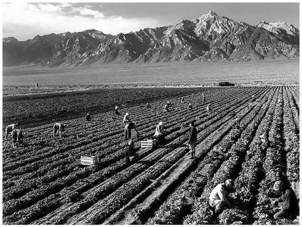 Farm workers and Mt. Williamson 1943