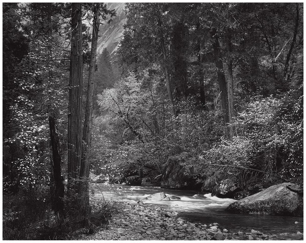 Tenaya Creek Spring Rain Yosemite National Park California 1948