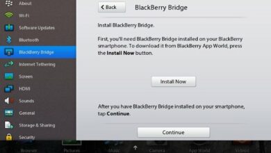 Blackberry Bridge Setup 1