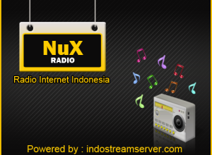 NuxRadio 1