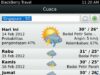 Blackberry Travel App 5