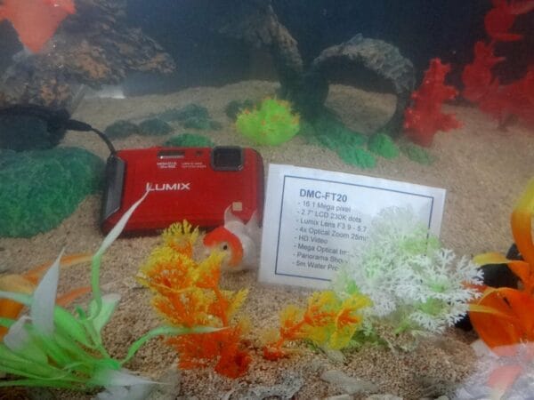 lumix ft20
