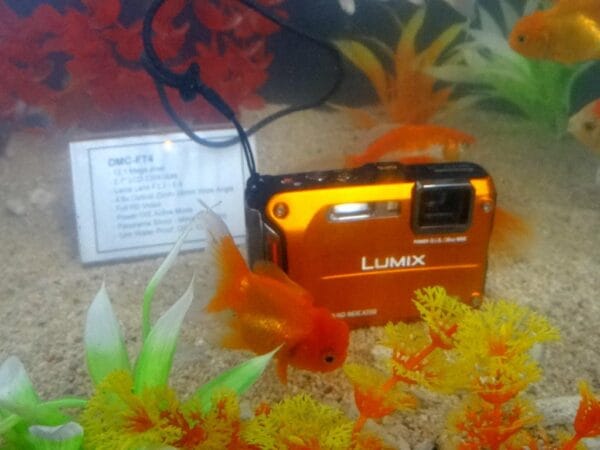 lumix ft4