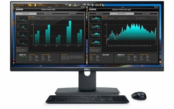 Dell UltraSharp U2913WM 4 Dell UltraSharp U2913WM 4
