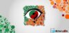 color blindness