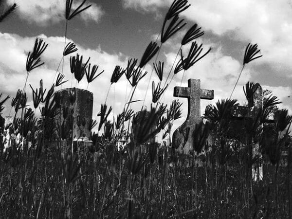 suncloudsample1 suncloudsample1