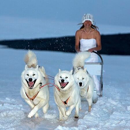 Iceland Iceland