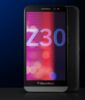 blackberry z301