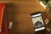 google nexus 5 4