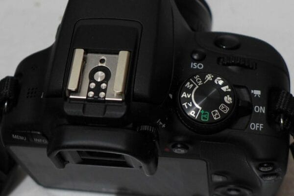 100D 2