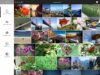 adobe Photoshop Mix 1