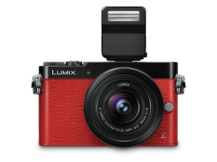 Panasonic Lumix DMC GM5 1