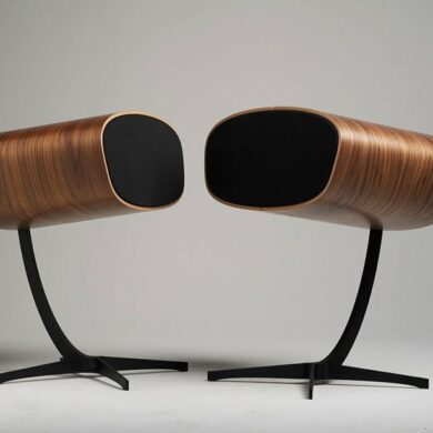 davone ray s speaker 2