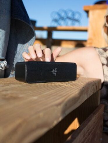 razer leviathan mini 1