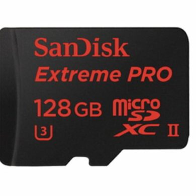 SanDisk Extreme Pro 1