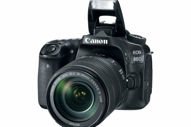canon EOS 80D 1 canon EOS 80D 1