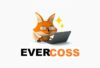 Sticker Avery Evercoss 1