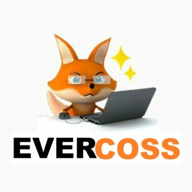 Sticker Avery Evercoss 1