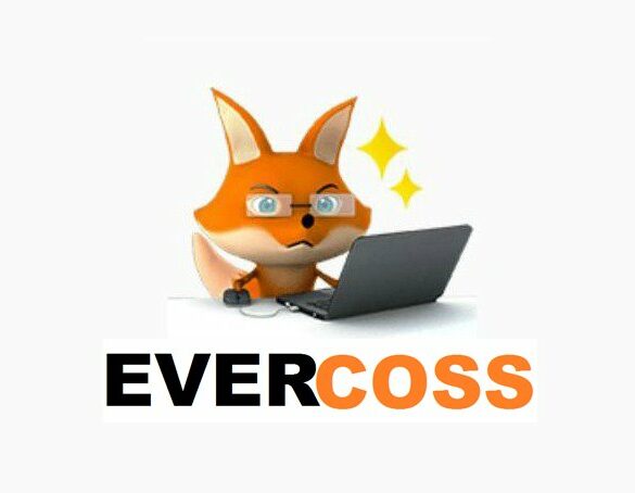 Sticker Avery Evercoss 1