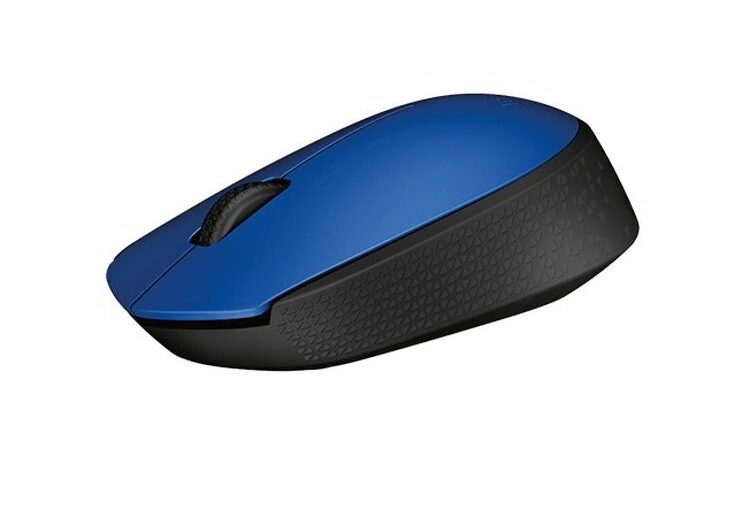 logitech M171 2