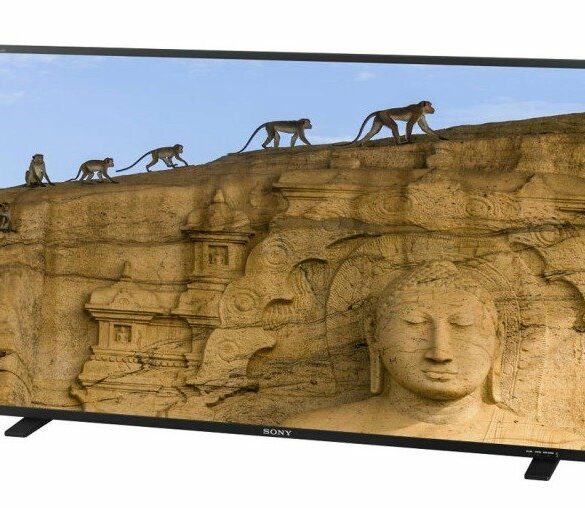 Sony PVM-X550: Monitor OLED 55 Inci dengan Resolusi 4K 40 Sony PVM X550