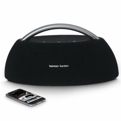harman kardon Go Play 1