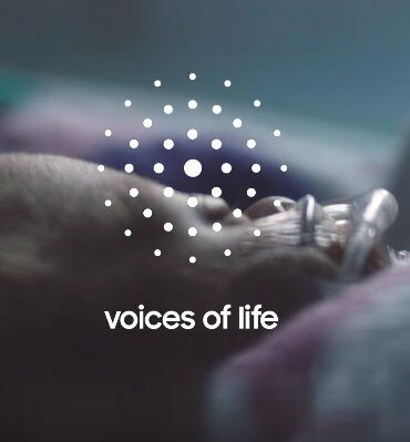 Voices of Life