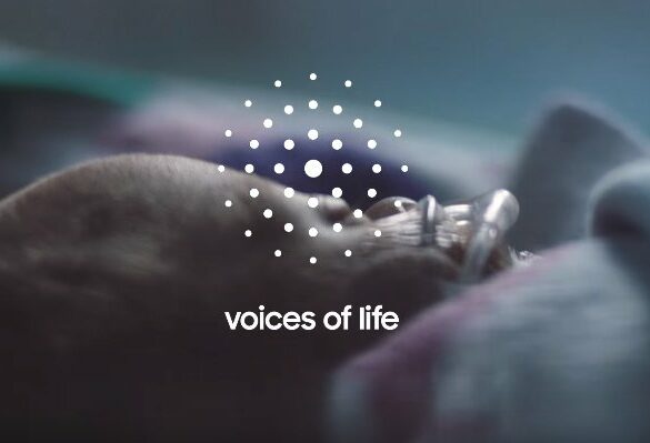 Voice of Life Voices of Life