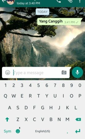 WhatsApp Bold Italic 1