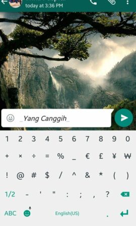 WhatsApp Bold Italic 3