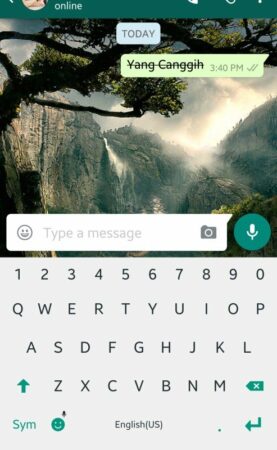 WhatsApp Bold Italic 6