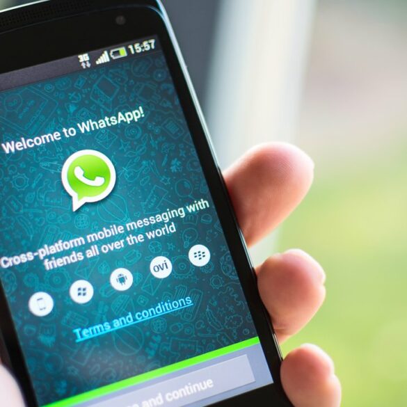 Karakter Pengguna WhatsApp Ini Pasti Selalu Ada di Percakapan Group 27 whatsapp user