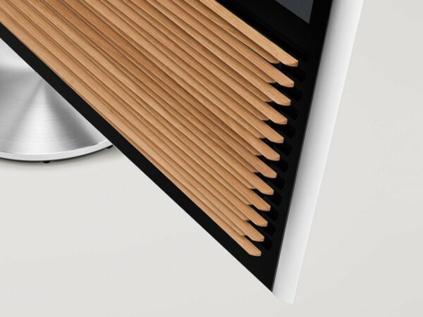 Bang Olufsen BeoVision 14 1