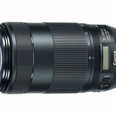 canon EF 70 300 f4 5.6 IS II USM 1