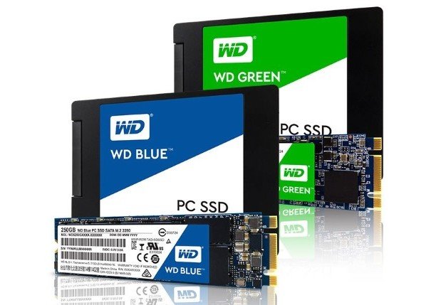 SSD WD Blue dan WD Green