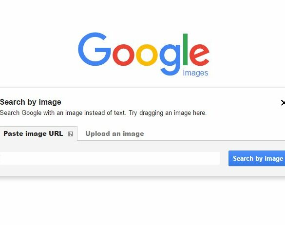 Google Reverse Image Search 2
