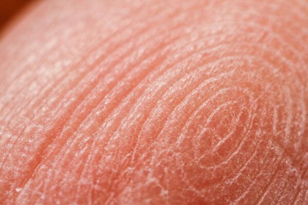 mitakon 20mm F2 sampel foto 2