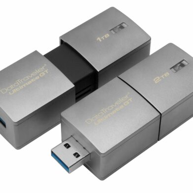 Kingston datatraverler GT 1