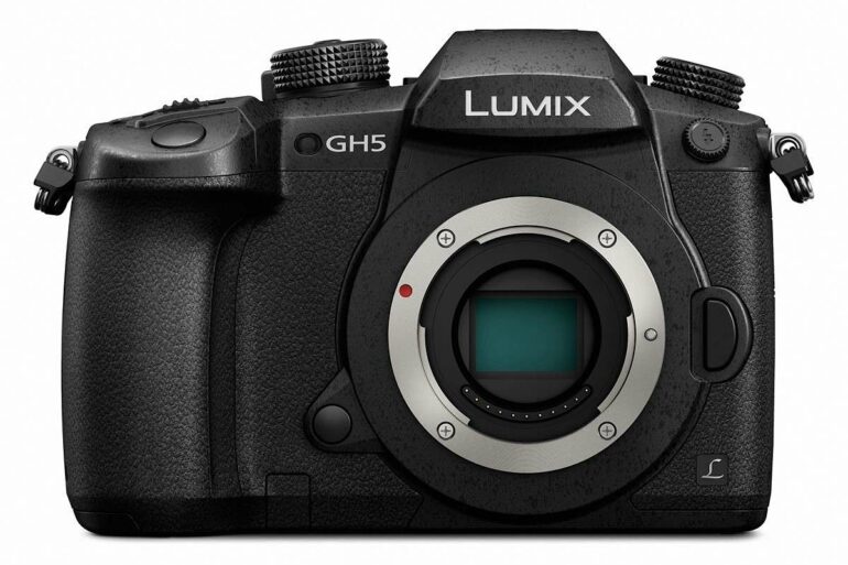 Panasonic DMC GH5 1