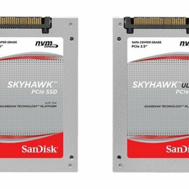 SanDisk SkyHawk