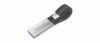 sandisk ixpand 2017