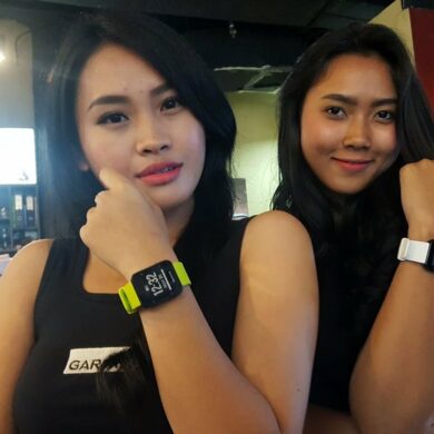 Garmin Erafone 2