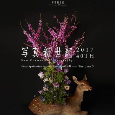 New Cosmos of Photography 2017