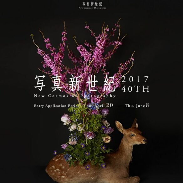 New Cosmos of Photography 2017