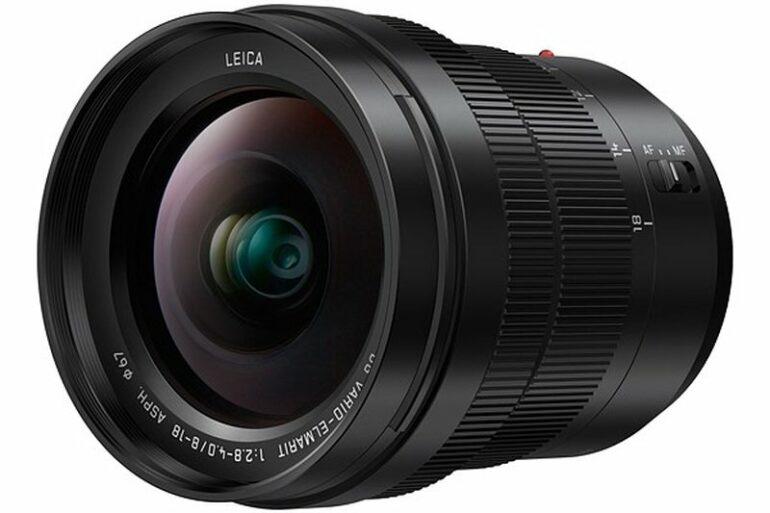 Panasonic Leica DG Vario Elmarit 8 18mm 1