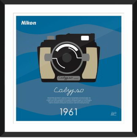 nikon poster 100th Anniversary Edition 2 nikon poster 100th Anniversary Edition 2