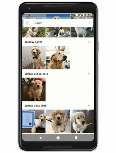 google photos pets 1