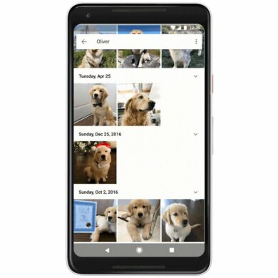 google photos pets 1