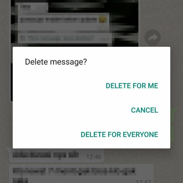 Tutorial Cara Menghapus Pesan Salah Kirim di WhatsApp 64 whatsapp delete 2