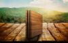 Balolo Playstation 4 Pro Walnut Wood Cover 1